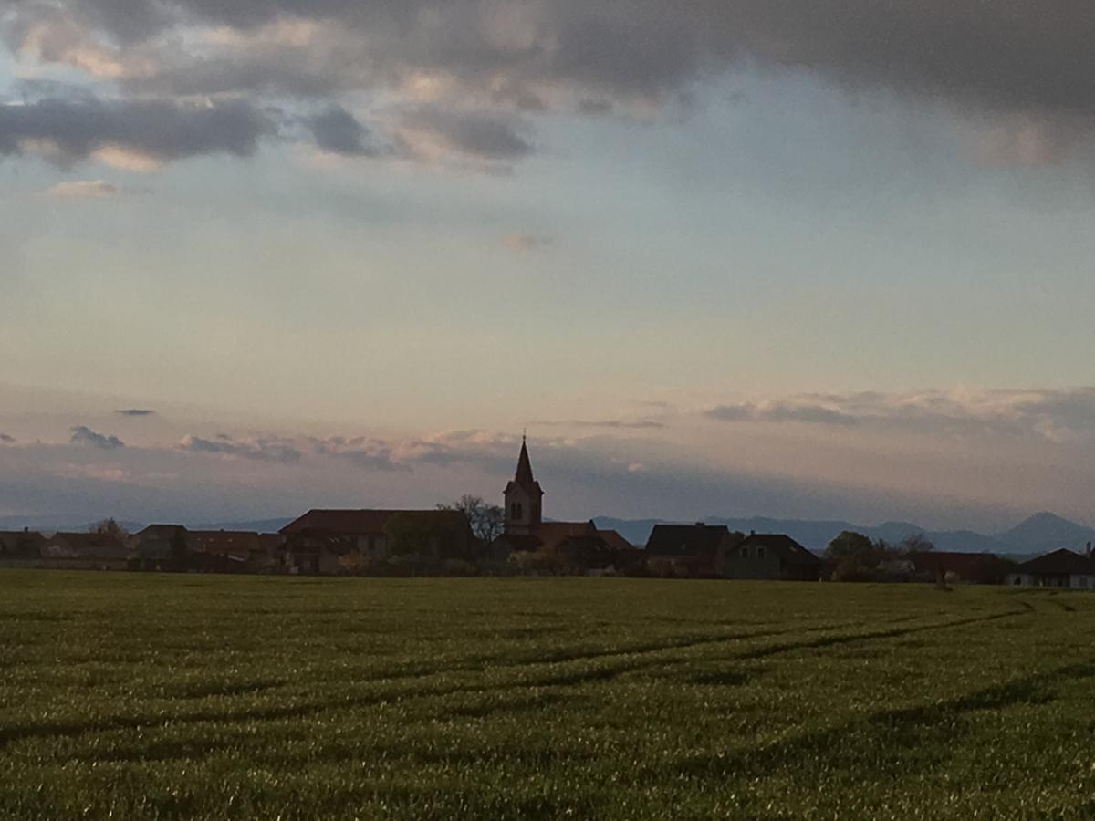 Zizice Statek Lunikovヴィラ エクステリア 写真