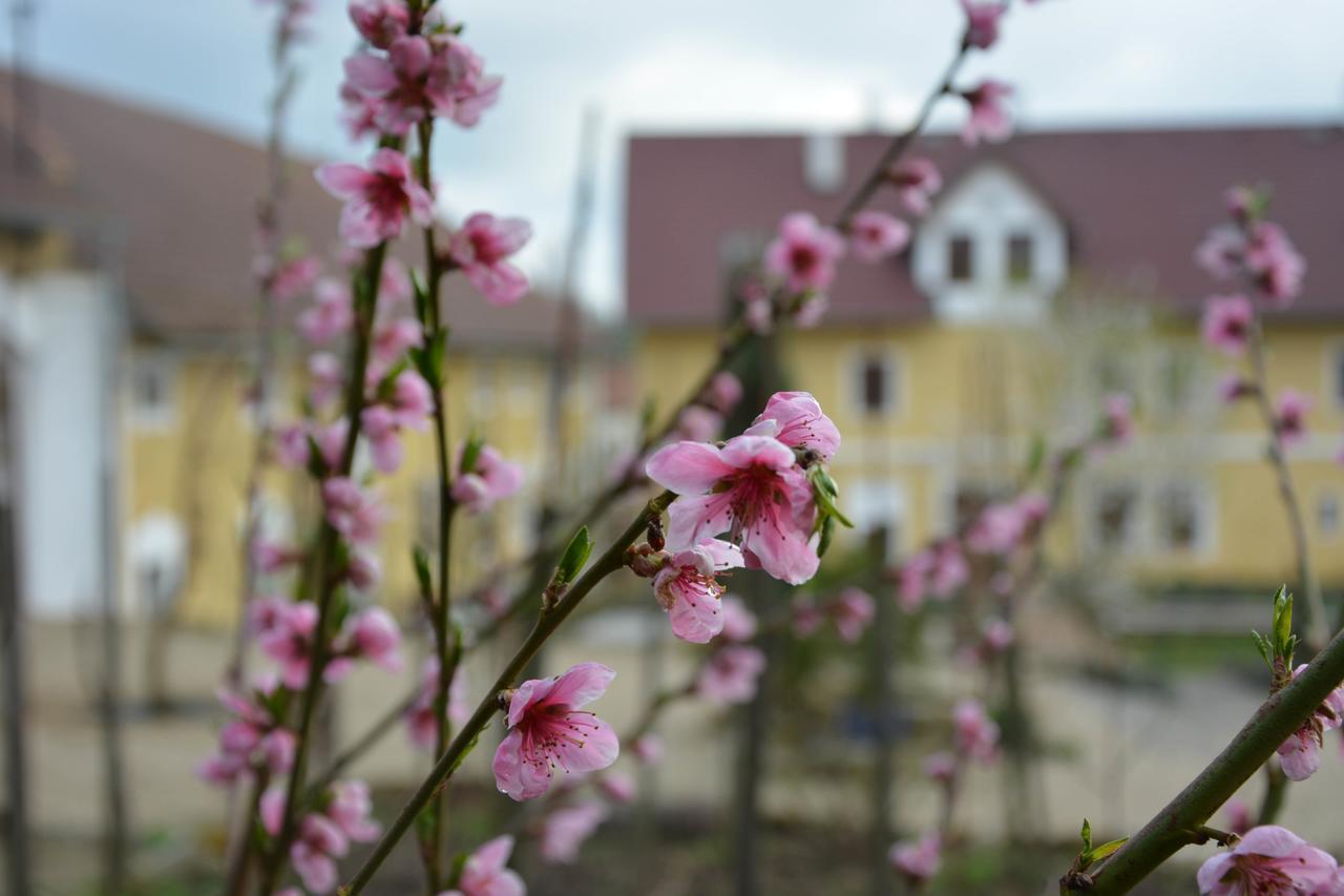 Zizice Statek Lunikovヴィラ エクステリア 写真